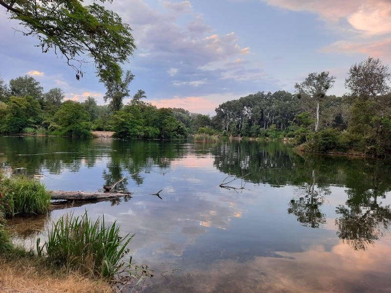 Lobau