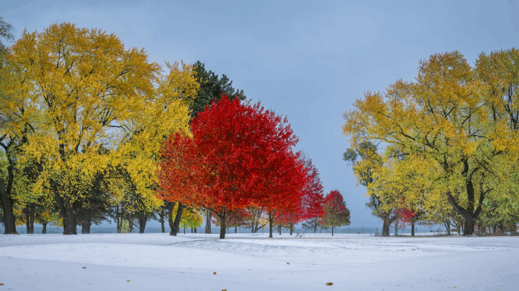 Meteorologický zlom: Prudký pád teplôt, mrazivé rána