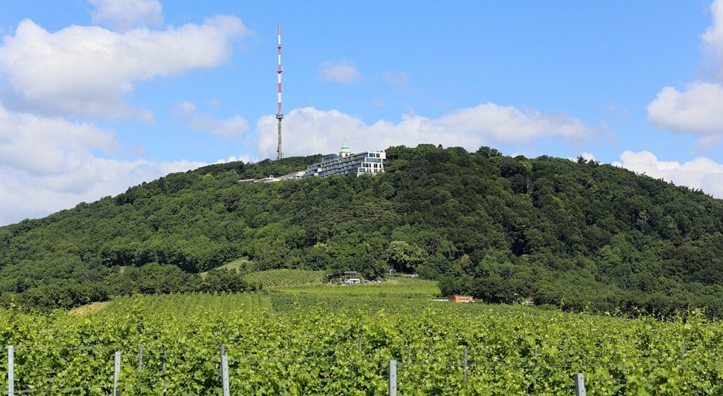 Tip na výlet: Stadtwanderweg 1 – Kahlenberg