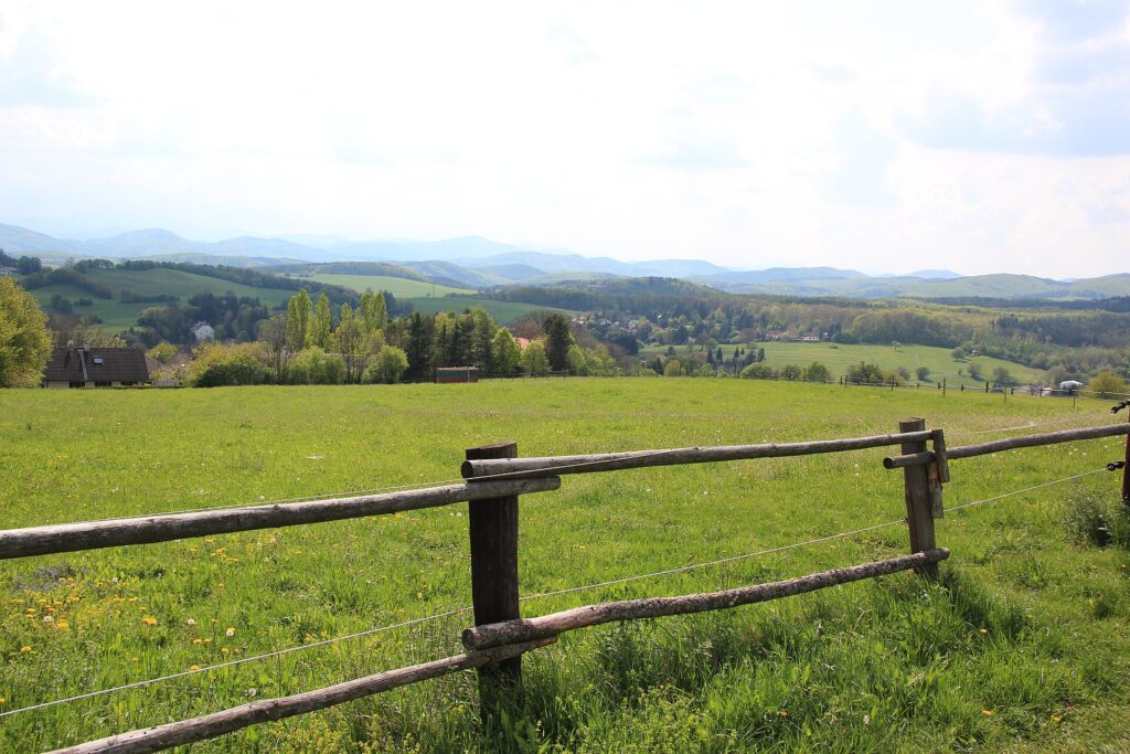 Wienerwald: 1 000 kilometrov čistého adrenalínu a histórie. Mýtický les, ktorý prežil všetko. Cisárov, nacistov aj skladateľov