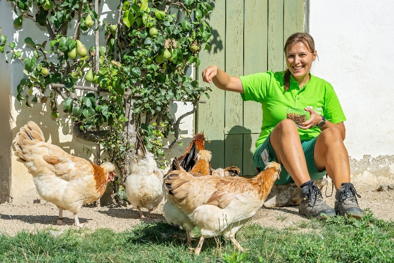 Blumengärten Hirschstetten otvára sezónu ako laboratórium biodiverzity