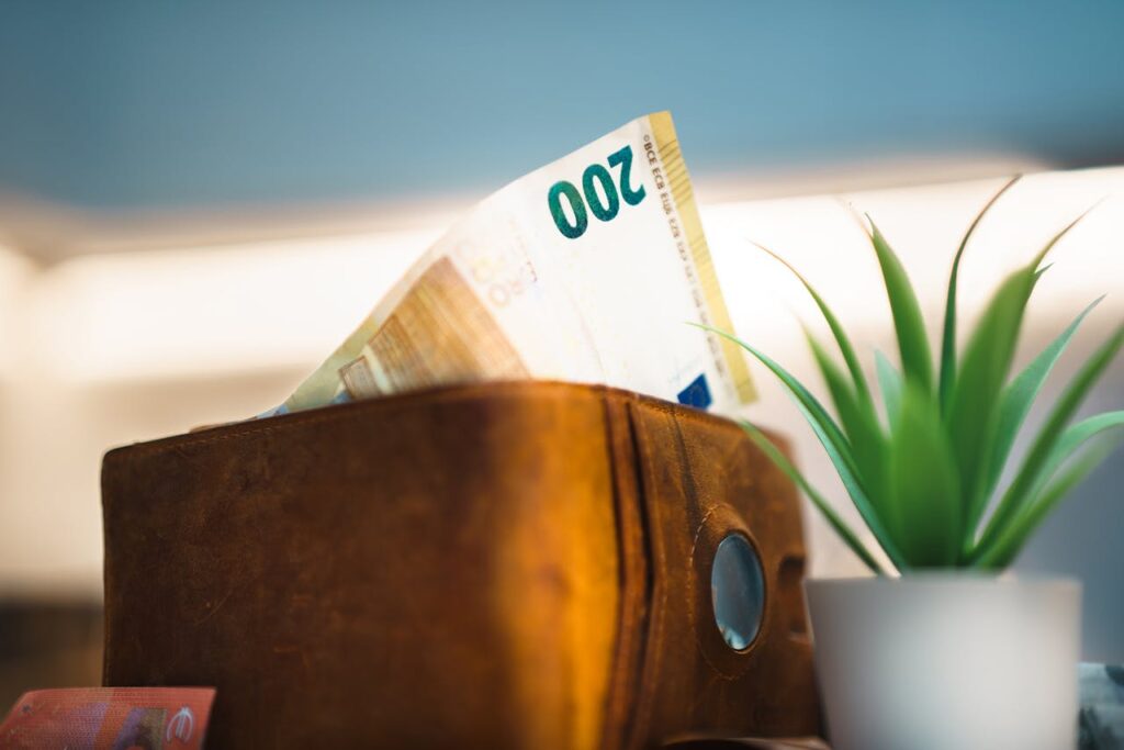 Https://www.pexels.com/de de/foto/ledergeldborse mit euro banknoten und pflanze 30423876/