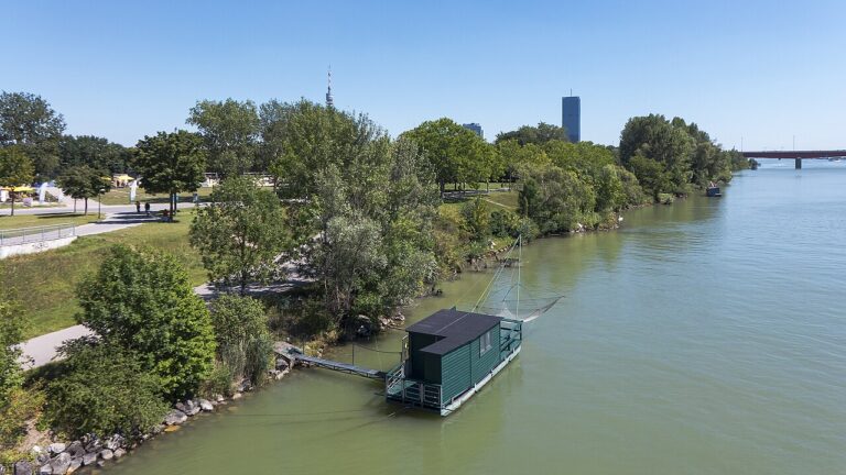 Afrika Tage Wien: Keď sa viedenský Donauinsel premení na srdce africkej kultúry