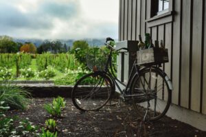 Obľúbené cyklistické trasy z Viedne do okolia