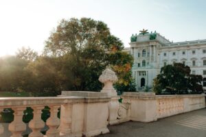 Pexels danieljschwarz