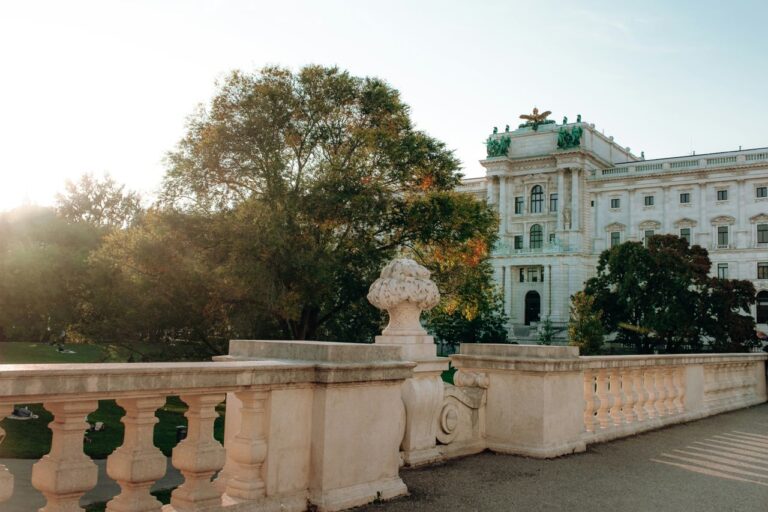 Pexels danieljschwarz