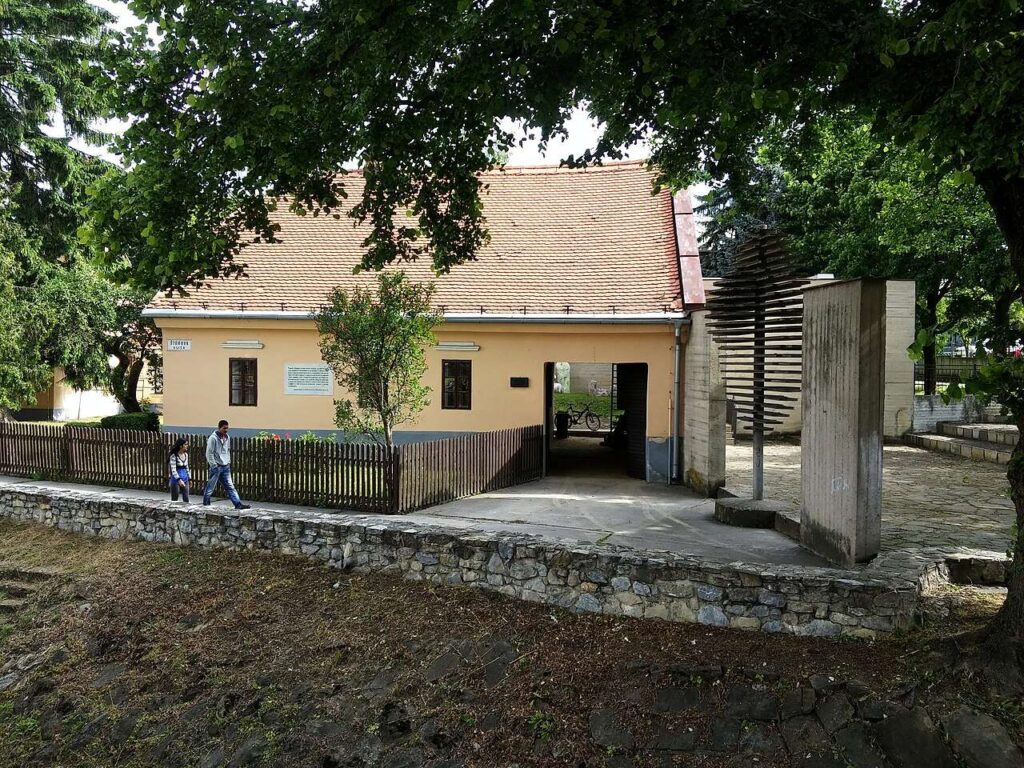 Koleniova 20160617 090601a